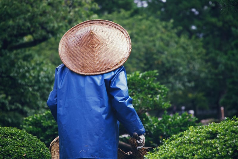 Garden Image
